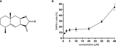 Alantolactone Enhances the Phagocytic Properties of Human Macrophages and Modulates Their Proinflammatory Functions